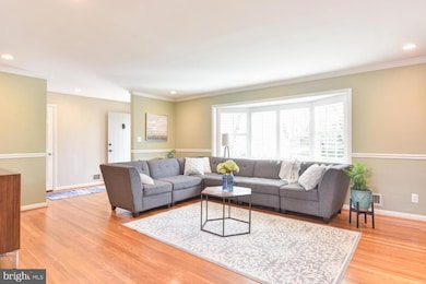 7033 Williamsburg Blvd, Arlington, VA 22213 - photo 2