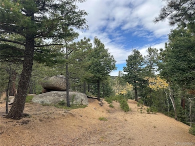 Looking down the driveway at the build site.