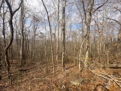 0 Highway 27 unit 1513626, Whitwell, TN 37397 - photo 5