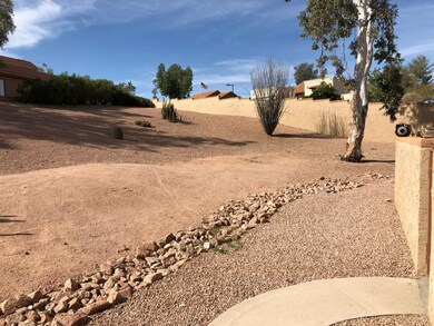 Desert views