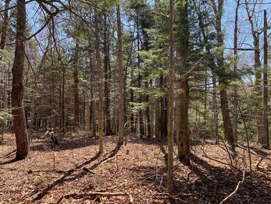 2 Brook Ln unit 39, Wilmington, VT 05363 - photo 2