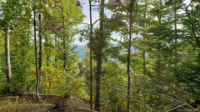 000 Briar Ridge Rd, Ramseytown, NC 28714 - photo 6