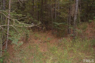 0 Pete Roberson Rd, Pittsboro, NC 27312 - photo 4