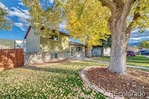 501 Walnut St, Salida, CO 81201 - photo 4