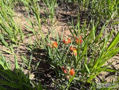 3 Tbd Lot B Ffd25-0006 Wcr 15, Carr, CO 80612 - photo 7