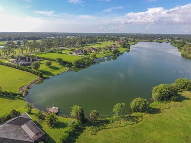 13319 Maple Nut Ln, Dover, FL 33527 - photo 5