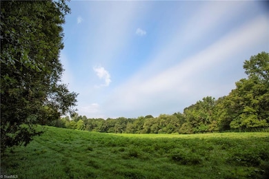 929 Arthur Teague Rd, Siler City, NC 27344 - photo 2