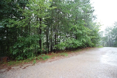 0 Jesse Trail unit SPN331210, Gaffney, SC 29341 - photo 2