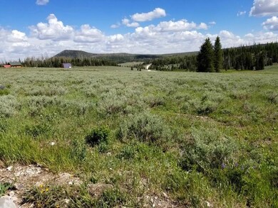 Meadow View