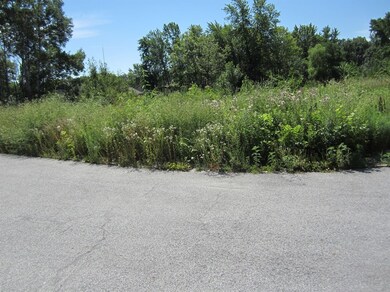 6720 W 142nd Place, Cedar Lake, IN 46303 - photo 4