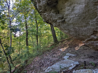 10688 Pine Hill Rd, Mc Donald, TN 37353 - photo 7