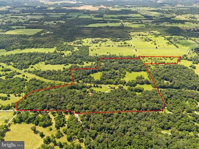 961 Summerville Rd, Boyce, VA 22620 - photo 5