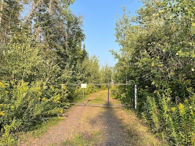 79900 Tarpaper Aly, Brule, WI 54820 - photo 2