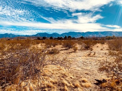 135 135th St E, Pearblossom, CA 93553 - photo 5