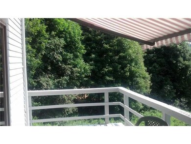 Yard/Garden.
