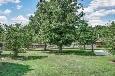 315 N Old Wilderness Rd, Nixa, MO 65714 - photo 6