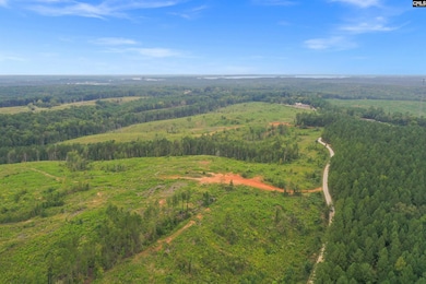 0000 S Carolina 215 unit 8, Jenkinsville, SC 29065 - photo 5