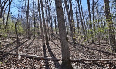 29275 Buffalo Hunt Ridge Rd, Proctor, OK 74457 - photo 7