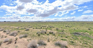 21115207 lot2