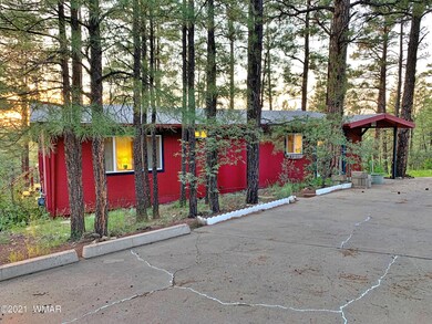 In the Tall Pines