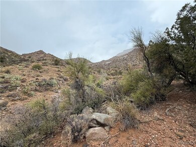 000 Between Silver Springs and Willow Creek, Kingman, AZ 86401 - photo 6