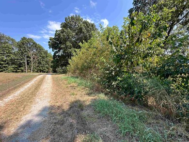 1302 & 1304 View Park Cir, Horseshoe Bend, AR 72512 - photo 2