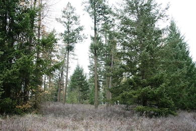 00 Dahl Lot 7 Rd unit Lot 7, Deer Park, WA 99006 - photo 4