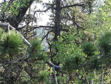 170 Buckskin Ct, Como, CO 80456 - photo 7