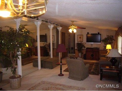 451 Don Felmet Rd, Leicester, NC 28748 - photo 2