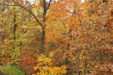 22 Overton Dr, Bella Vista, AR 72714 - photo 7