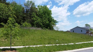 Lot at left in this view