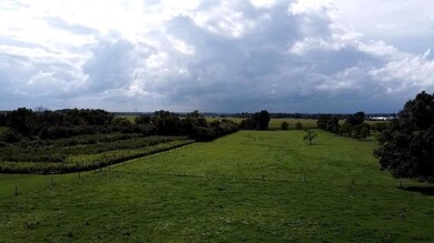 9632 Licking Trails Rd, Thornville, OH 43076 - photo 6