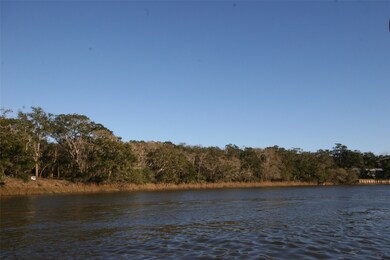 3745 Farm To Market 2611, Brazoria, TX 77422 - photo 3
