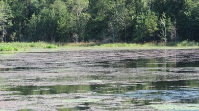 0 Concord Bainbridge Rd unit 259768, Havana, FL 32333 - photo 6