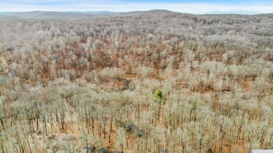 275 Westfall Rd, Ancram, NY 12502 - photo 3