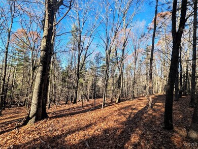 0 Two Rod Rd, Bath, NY 14810 - photo 7