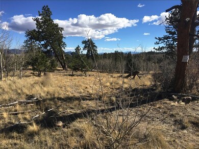 82 Rawhide Ct, Como, CO 80432 - photo 3