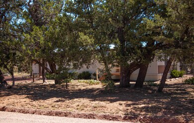 2939 Wildcat Trail
