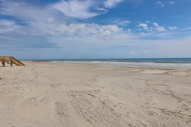 716 E Arctic Ave, Folly Beach, SC 29439 - photo 5