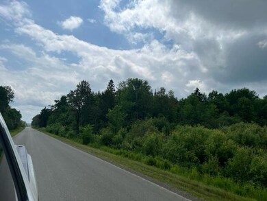 image1 (1)