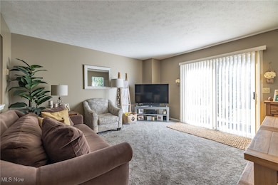 865 Overlook Ridge Dr unit 9F, Cleveland, OH 44109 - photo 7