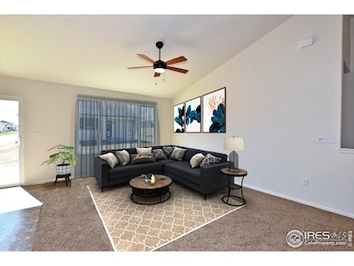 2361 Jasmine Ln, Johnstown, CO 80534 - photo 7