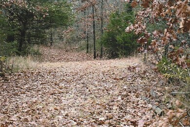 Path