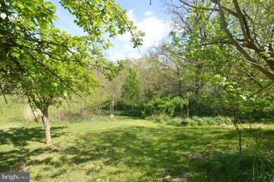 9695 Winchester Grade Rd, Berkeley Springs, WV 25411 - photo 4