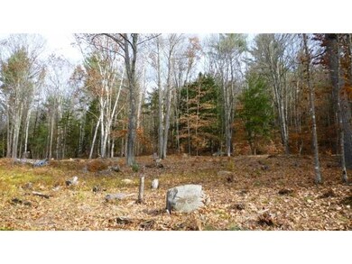 LOT # 6 Eastern Corners Rd, Campton, NH 03223 - photo 6
