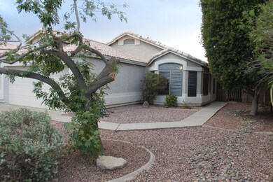 02 - Front Yard 1