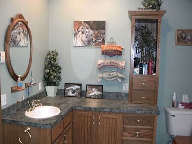 2401 County Road 4 1, Swanton, OH 43558 - photo 5