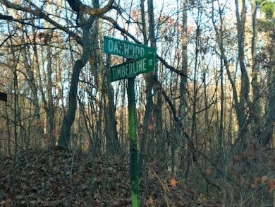 9579 E Timberline Trail, Pinora Township, MI 49677 - photo 2