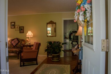 4423 Rustic Way Kingsport TN-25