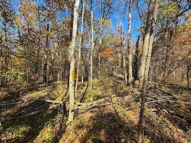 0 E Little Forest Run Rd, Reedsville, OH 45772 - photo 4